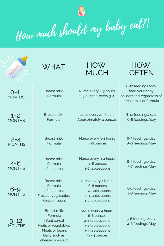 Newborn and Baby Feeding Schedule for 6-9 Months Old