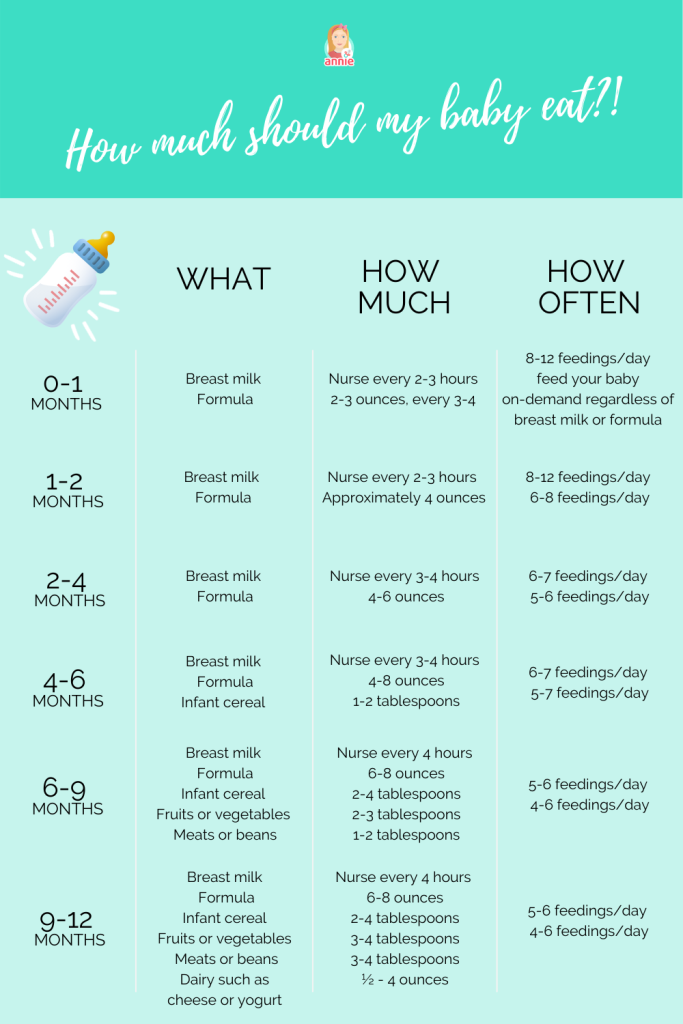Baby Feeding Schedule How Often And How Much Should Your Baby Eat 