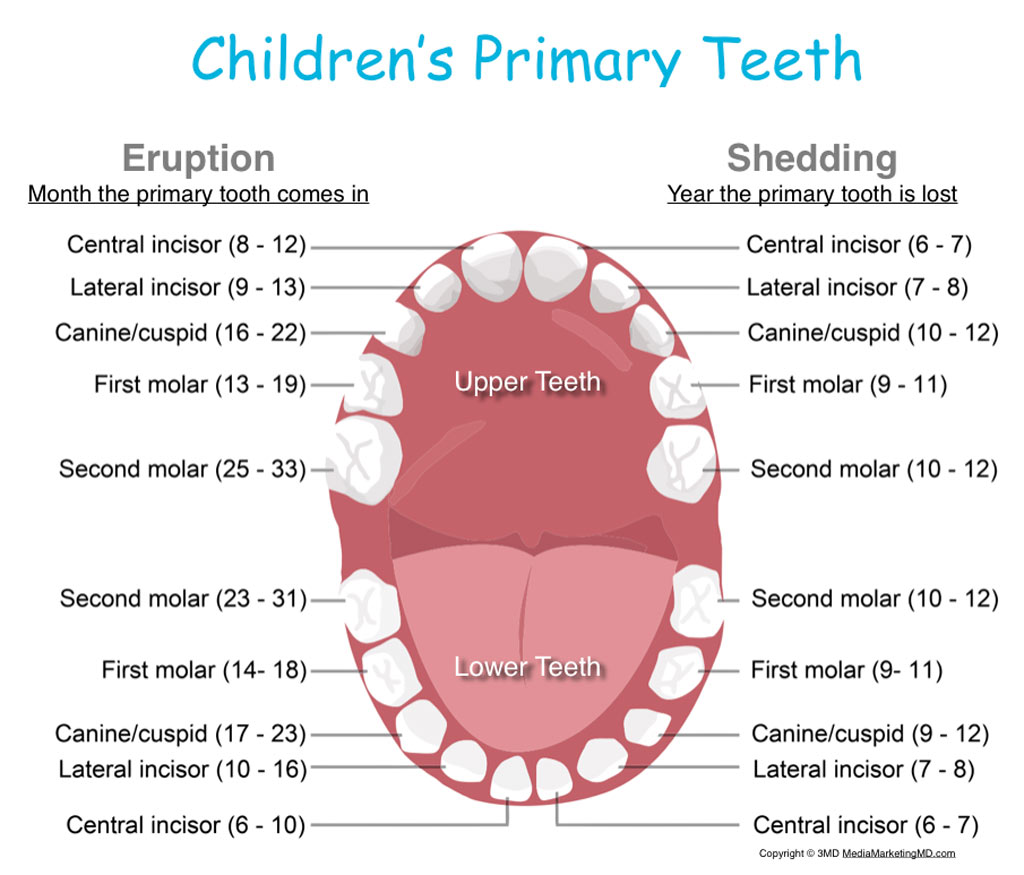 Toddler teething relief