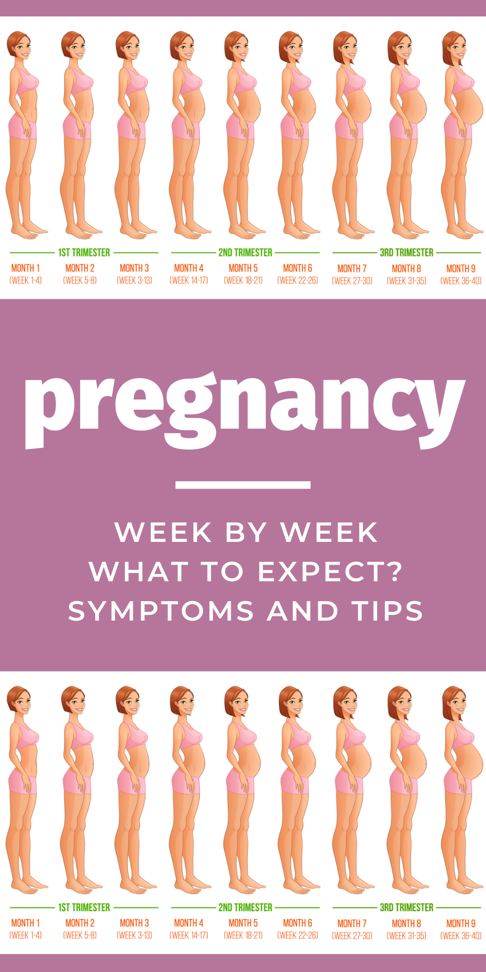 pregnancy week by week