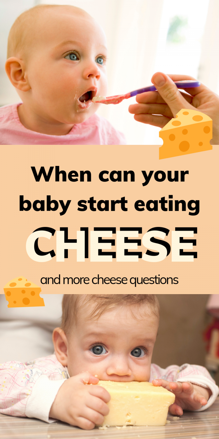 When can baby eat cheese