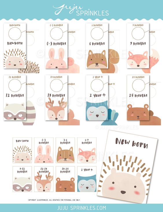 Baby Closet Dividers