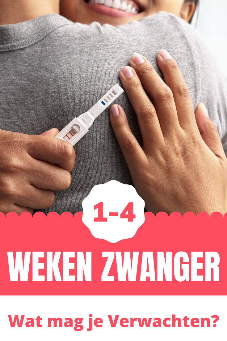 4 weken zwanger