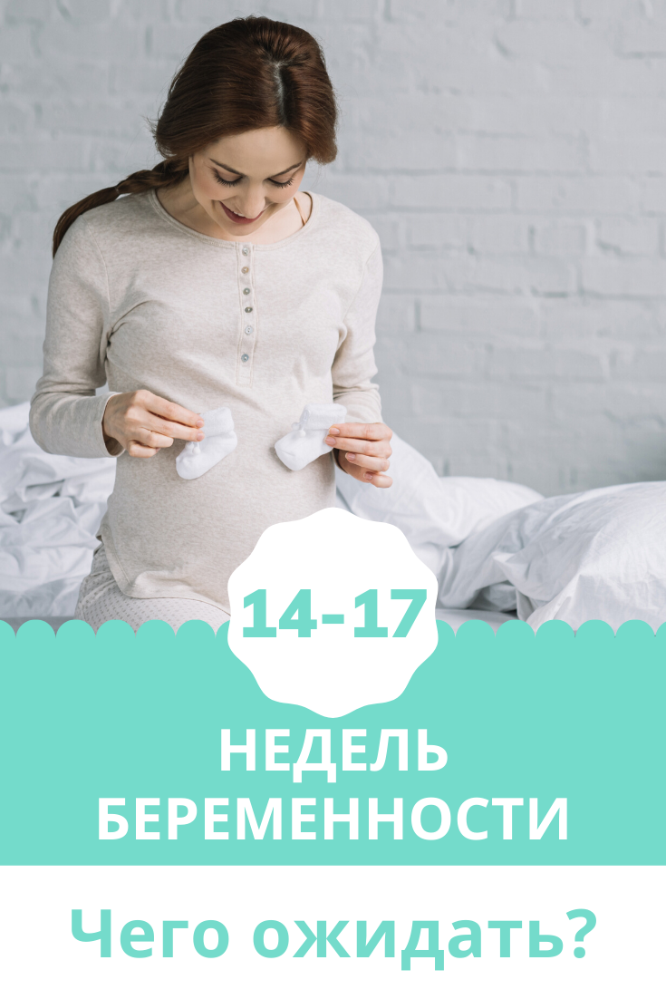 17 неделя беременности