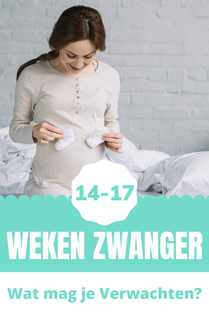 17 weken zwanger
